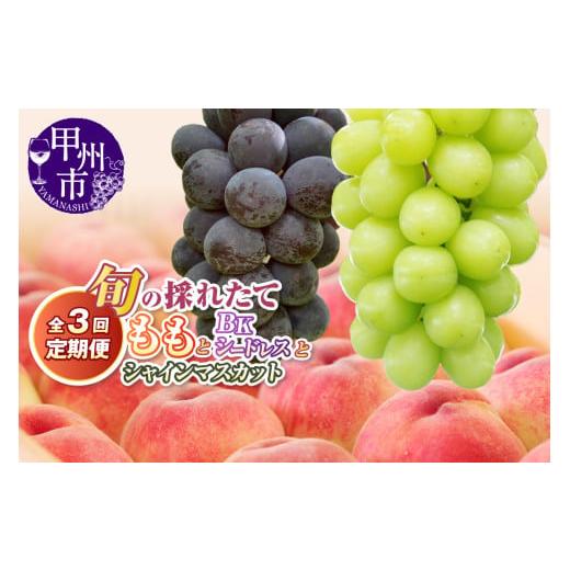 ふるさと納税 もも 山梨県 甲州市 定期便 旬の採れたて3回定期便(桃・BKシ—ドレス・シャインマスカット) 2026年発送 (HO)C9-412 2026年発送 桃・BKシ—…