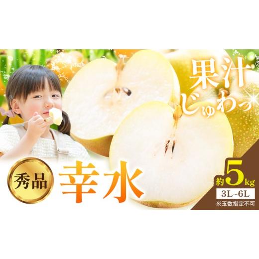 ふるさと納税 梨 栃木県 野木町 梨 幸水 秀品 約5kg 3L 〜 6L 井岡農園 《8月上旬-8月下旬頃出荷予定》 栃木県 野木町 なし ナシ くだもの 果物 青果物 フルー…_1