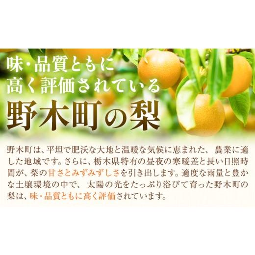 ふるさと納税 梨 栃木県 野木町 梨 幸水 秀品 約5kg 3L 〜 6L 井岡農園 《8月上旬-8月下旬頃出荷予定》 栃木県 野木町 なし ナシ くだもの 果物 青果物 フルー…_2