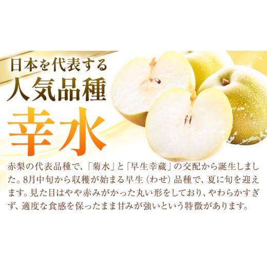 ふるさと納税 梨 栃木県 野木町 梨 幸水 秀品 約5kg 3L 〜 6L 井岡農園 《8月上旬-8月下旬頃出荷予定》 栃木県 野木町 なし ナシ くだもの 果物 青果物 フルー…_3