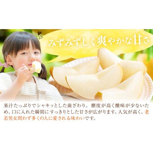 ふるさと納税 梨 栃木県 野木町 梨 幸水 秀品 約5kg 3L 〜 6L 井岡農園 《8月上旬-8月下旬頃出荷予定》 栃木県 野木町 なし ナシ くだもの 果物 青果物 フルー…_4