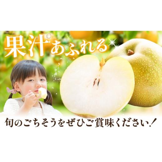 ふるさと納税 梨 栃木県 野木町 梨 幸水 秀品 約5kg 3L 〜 6L 井岡農園 《8月上旬-8月下旬頃出荷予定》 栃木県 野木町 なし ナシ くだもの 果物 青果物 フルー…_5