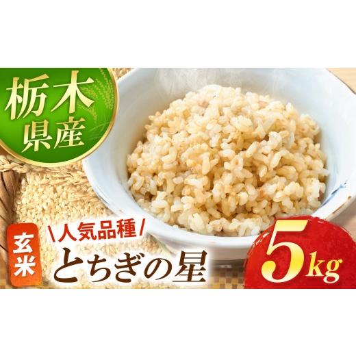 ふるさと納税 玄米 栃木県 真岡市 とちぎの星 玄米 5kg |お米 米 白米 玄米 おにぎり 日本 主食 米 おいしい おこめ 5kg 10kg 20kg 30kg 栃木県 真岡市 送料無…