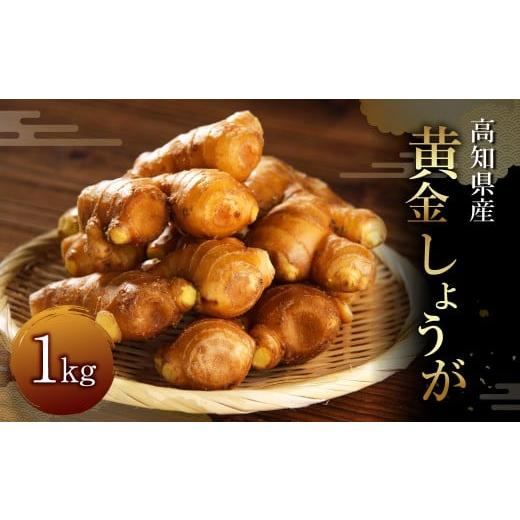 ふるさと納税 野菜類 高知県 香美市 黄金しょうが 約1kg 国産 生姜 しょうが ショウガ 高知県産