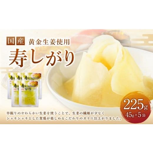 ふるさと納税 加工品等 高知県 香美市 国産 黄金生姜使用 寿司ガリ 45g×5袋 計225g 甘酢 ガリ スライス