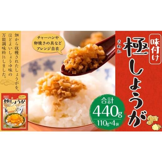 ふるさと納税 加工品等 高知県 香美市 味付け 極しょうが 110g×4袋 計440g ふりかけ ご飯のお供 酢しょうが おかず生姜