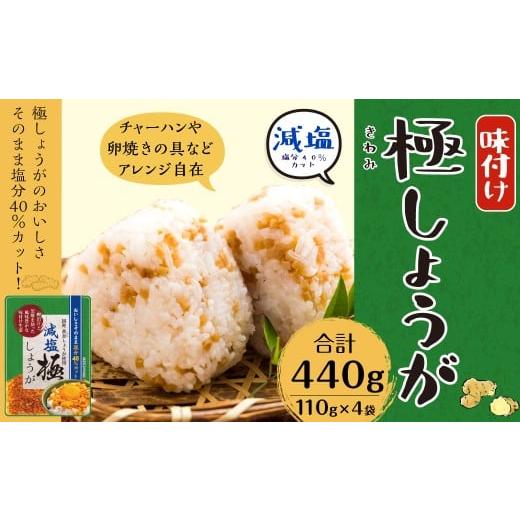 ふるさと納税 加工品等 高知県 香美市 減塩 味付け 極しょうが 110g×4袋 計440g ふりかけ ご飯のお供 酢しょうが おかず生姜