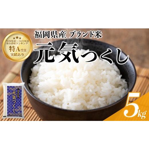 ふるさと納税 米 福岡県 春日市 数量限定 元気つくし 精白米 (5kg) お米 米 精白米 おこめ ごはん ご飯 ライス 弁当 おにぎり 国産 福岡県産 ブランド米 5kg …