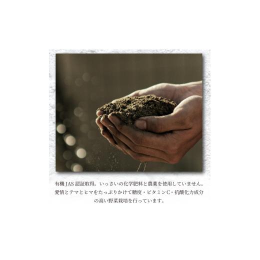 ふるさと納税 セット・詰合せ 徳島県 吉野川市 サラダ カット済 野菜 詰め合わせ 1,050g （ 150g 7袋 ） お手軽 栽培期間中 農薬不使用 有機JAS認証 露地栽培 …の画像