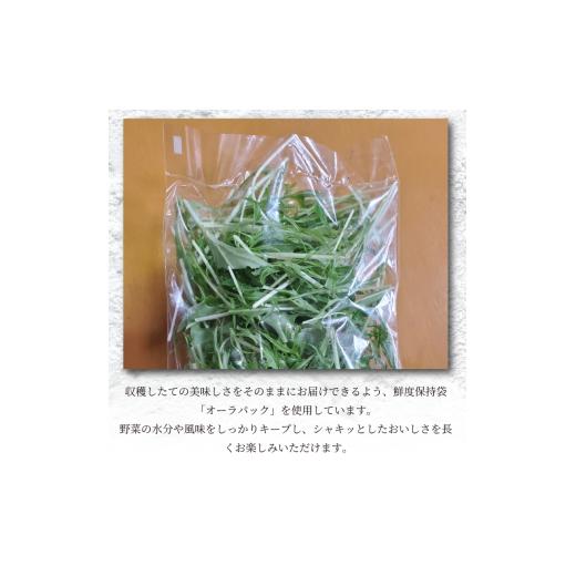 ふるさと納税 セット・詰合せ 徳島県 吉野川市 サラダ カット済 野菜 詰め合わせ 1,050g （ 150g 7袋 ） お手軽 栽培期間中 農薬不使用 有機JAS認証 露地栽培 …の画像