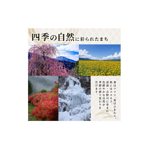 ふるさと納税 セット・詰合せ 徳島県 吉野川市 サラダ カット済 野菜 詰め合わせ 1,050g （ 150g 7袋 ） お手軽 栽培期間中 農薬不使用 有機JAS認証 露地栽培 …の画像
