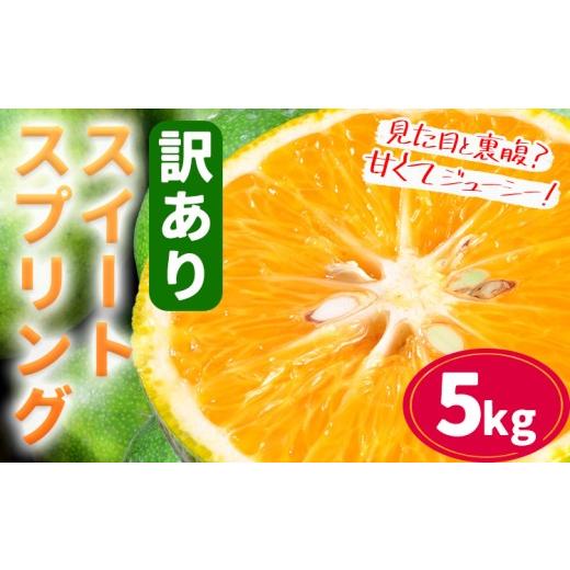 ふるさと納税 みかん・柑橘類 熊本県 苓北町 先行予約 訳あり ご家庭用 スイートスプリング 約5kg 柑橘 かんきつ 果物 フルーツ 品種 生産者直送 産地直送 南…