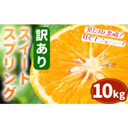 ふるさと納税 みかん・柑橘類 熊本県 苓北町 先行予約 訳あり スイートスプリング 10kg 都呂々みかん生産者グループ[2026年12月上旬-2027年1月下旬頃出荷予…