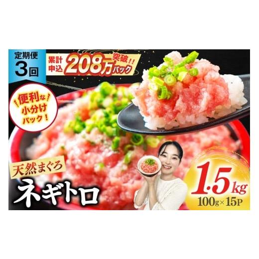 ふるさと納税 マグロ 静岡県 吉田町 3回定期便 ネギトロ 15パック (計4.5kg) レビューキャンペーン 3回定期便 15パック (計4.5kg)