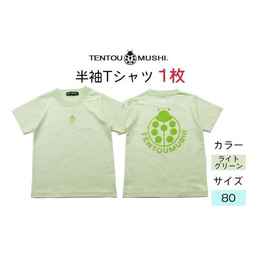 ふるさと納税 服 子ども 愛知県 岩倉市 子ども用 半袖Tシャツ TENTOUMUSHI てんとう虫PT ライトグリーン 80サイズ|子供 服 Tシャツ 綿 国産 日本製 赤ちゃん …