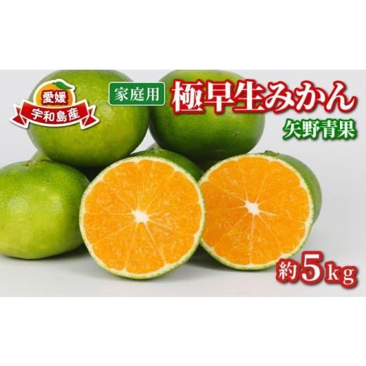 ふるさと納税 果物類 みかん 愛媛県 宇和島市 家庭用 極早生 みかん 5kg 矢野青果 温州みかん 果物 くだもの フルーツ 柑橘 蜜柑 愛媛蜜柑 愛媛みかん 愛媛ミ…