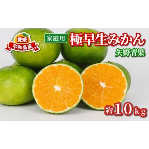 ふるさと納税 果物類 みかん 愛媛県 宇和島市 家庭用 極早生 みかん 10kg 矢野青果 温州みかん 果物 くだもの フルーツ 柑橘 蜜柑 愛媛蜜柑 愛媛みかん 愛媛ミ…