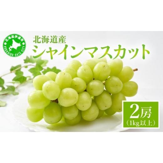 ふるさと納税 ぶどう マスカット 北海道 伊達市 先行予約 シャインマスカット 2房(1kg以上)化粧箱入り 2房(1kg以上)