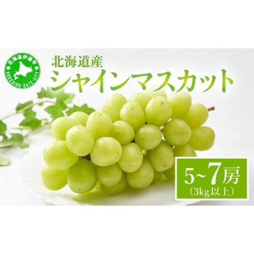 ふるさと納税 ぶどう マスカット 北海道 伊達市 先行予約 シャインマスカット 5〜7房(3kg以上)箱 5〜7房(3kg以上)