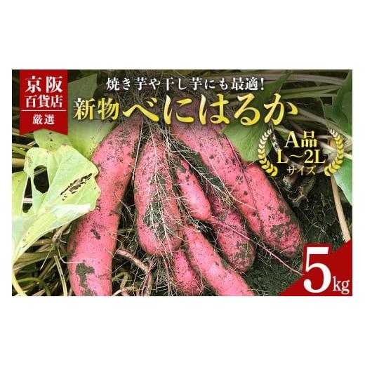 ふるさと納税 野菜類 サツマイモ 茨城県 那珂市 京阪百貨店厳選 茨城県産べにはるか 5kg (新物) A品L〜2Lサイズ 芋 さつま芋 サツマイモ さつまいも B18-00…