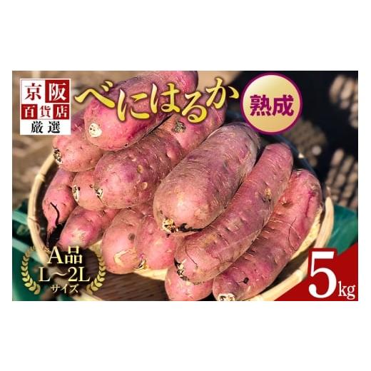 ふるさと納税 野菜類 サツマイモ 茨城県 那珂市 京阪百貨店厳選 茨城県産べにはるか 5kg (熟成) A品L〜2Lサイズ 芋 さつま芋 サツマイモ さつまいも B18-00…
