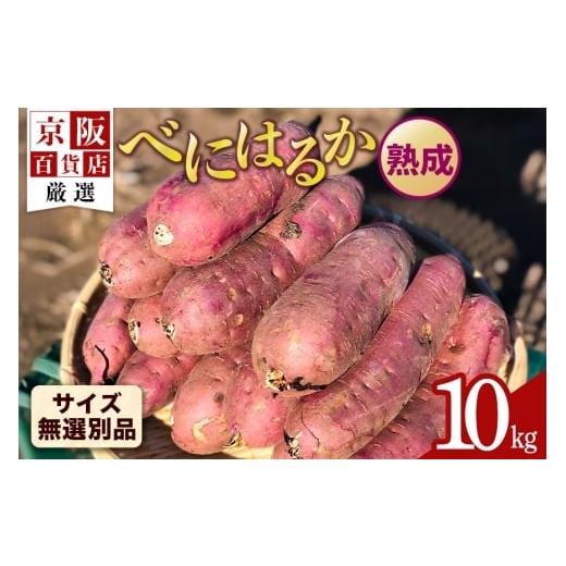 ふるさと納税 野菜類 サツマイモ 茨城県 那珂市 京阪百貨店厳選 茨城県産べにはるか 10kg(熟成) サイズ無選別品 芋 さつま芋 サツマイモ さつまいも B18-00…