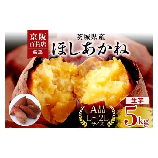 ふるさと納税 野菜類 サツマイモ 茨城県 那珂市 京阪百貨店厳選 茨城県産ほしあかね 5kg A品L〜2Lサイズ 芋 さつま芋 サツマイモ さつまいも B18-009 5kg A品…
