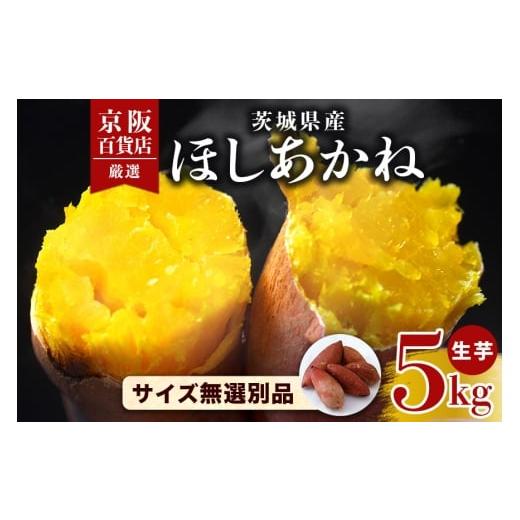ふるさと納税 野菜類 サツマイモ 茨城県 那珂市 京阪百貨店厳選 茨城県産ほしあかね 5kg サイズ無選別品 芋 さつま芋 サツマイモ さつまいも B18-011 5kg サ…