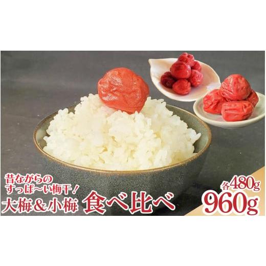 ふるさと納税 加工品等 梅干 徳島県 吉野川市 天野農園の梅干 大梅 小梅 セット 箱入り 各480g [ 2025年10月中旬 〜 順次出荷 ] 国産 梅 うめぼし 昔ながら…