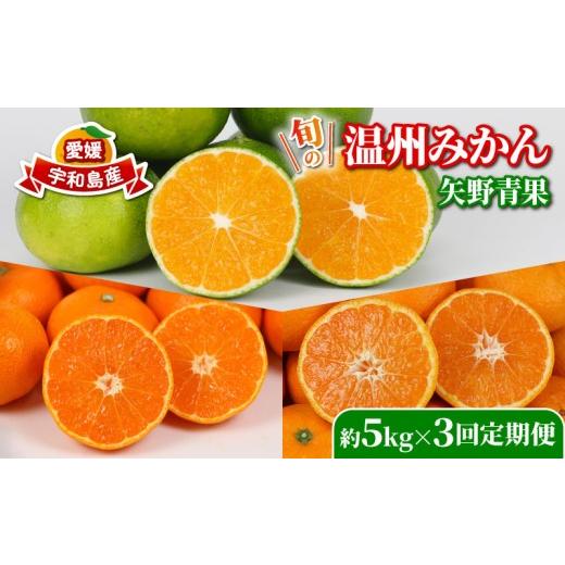 ふるさと納税 果物類 みかん 愛媛県 宇和島市 旬の 温州みかん 5kg × 3回 定期便 矢野青果 準贈答用 極早生 宮川早生 南柑20号 みかん mikan 愛媛みかん 愛媛…