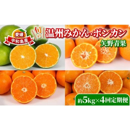 ふるさと納税 果物類 みかん 愛媛県 宇和島市 旬の 温州みかん ポンカン 5kg × 4回 定期便 矢野青果 準贈答用 極早生 宮川早生 南柑20号 ぽんかん みかん mik…