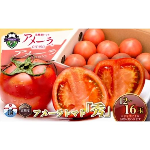 ふるさと納税 野菜類 トマト 静岡県 藤枝市 12月配送 アメーラ トマト 12-16玉 12月配送