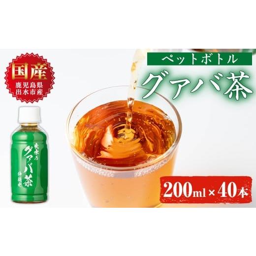 ふるさと納税 お茶類 鹿児島県 出水市 i1137-A グァバ茶PET(神秘也)200ml×40本 お茶 茶 国産 グァバ葉 ノンカフェイン ポリフェノール 血糖値 コレステロール…の画像