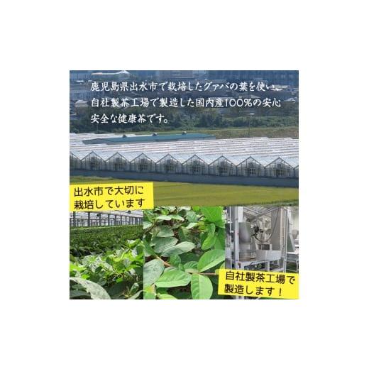 ふるさと納税 お茶類 鹿児島県 出水市 i1137-A グァバ茶PET(神秘也)200ml×40本 お茶 茶 国産 グァバ葉 ノンカフェイン ポリフェノール 血糖値 コレステロール…の画像