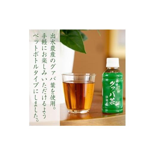 ふるさと納税 お茶類 鹿児島県 出水市 i1137-A グァバ茶PET(神秘也)200ml×40本 お茶 茶 国産 グァバ葉 ノンカフェイン ポリフェノール 血糖値 コレステロール…の画像