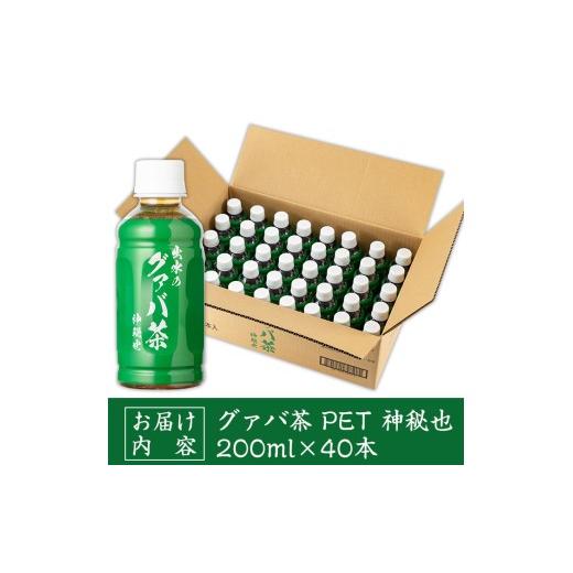 ふるさと納税 お茶類 鹿児島県 出水市 i1137-A グァバ茶PET(神秘也)200ml×40本 お茶 茶 国産 グァバ葉 ノンカフェイン ポリフェノール 血糖値 コレステロール…の画像