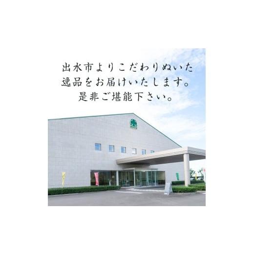 ふるさと納税 お茶類 鹿児島県 出水市 i1137-A グァバ茶PET(神秘也)200ml×40本 お茶 茶 国産 グァバ葉 ノンカフェイン ポリフェノール 血糖値 コレステロール…の画像