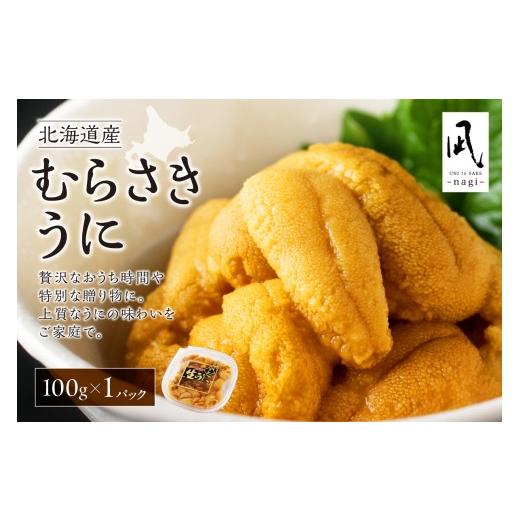 ふるさと納税 ウニ 北海道 札幌市 先行予約 [北海道産]ムラサキウニ 塩水 100g 札幌カネシン水産
