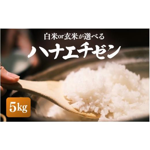ふるさと納税 米 福井県 越前町 先行予約 令和8年産・新米 ハナエチゼン 5kg 白米 2026年10月中旬以降順次発送 お米 こめ はなえちぜん 華越前 人気品種 ブラ…