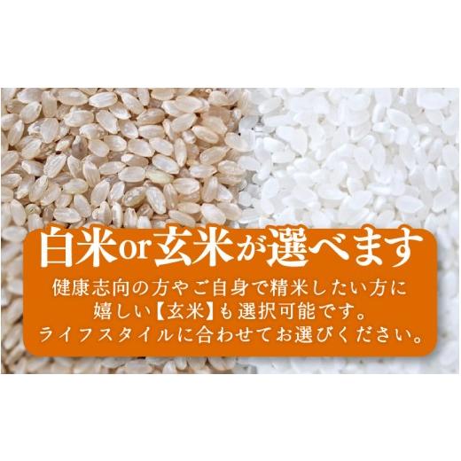 乳酸菌栽培8年産 2026年　新米 福井県オリジナルブランド　華越前06 ふるさと納税 米 福井県 越前町 先行予約 令和8年産・新米