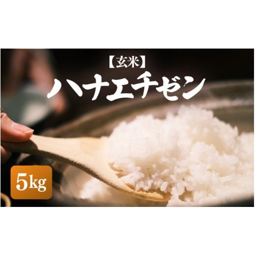 ふるさと納税 玄米 福井県 越前町 先行予約 令和8年産・新米 ハナエチゼン 5kg 玄米 2026年10月中旬以降順次発送 お米 こめ はなえちぜん 華越前 人気品種 ブ…
