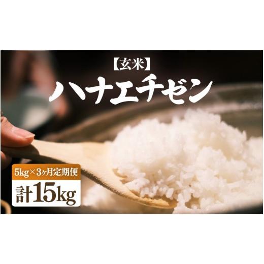 ふるさと納税 玄米 福井県 越前町 先行予約 令和8年産・新米 定期便 3ヶ月連続お届け ハナエチゼン 5kg × 3回(合計15kg) 玄米 2026年10月中旬以降順次発送…