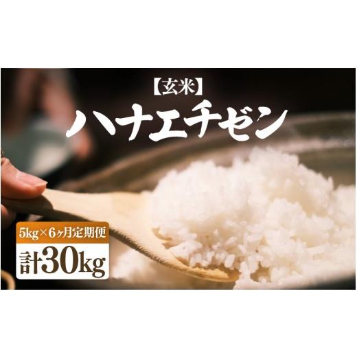 ふるさと納税 米 福井県 越前町 先行予約 令和8年産・新米 定期便 6ヶ月連続お届け ハナエチゼン 5kg × 6回(合計30kg) 玄米 2026年10月中旬以降順次発送 …