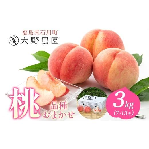 ふるさと納税 ジャム 桃 福島県 石川町 桃 3kg 品種お任せ 7〜13玉 | もも 旬 ランダム 果物 フルーツ 完熟 ピーチ 産地直送 新鮮 大野農園 福島県 石川町 19…