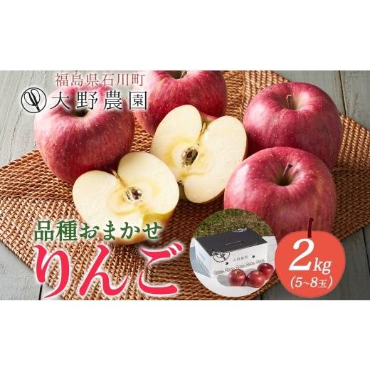 ふるさと納税 りんご 福島県 石川町 りんご 2kg 品種お任せ 5〜8玉 | リンゴ 旬 ランダム 林檎 果物 フルーツ 甘い アップル 産直 大野農園 福島県 石川町 19…