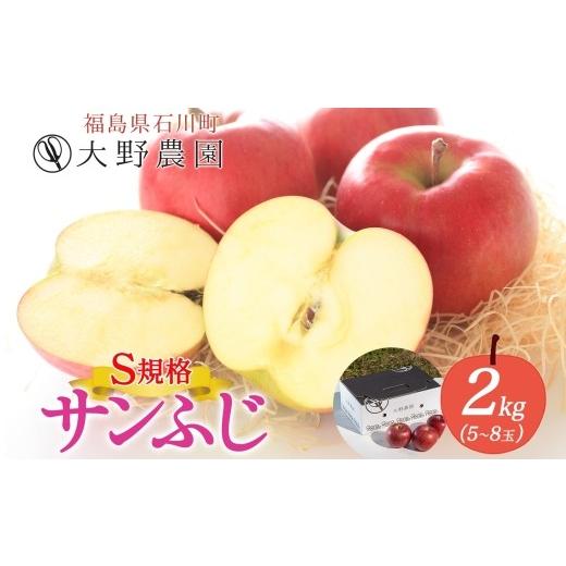 ふるさと納税 りんご 福島県 石川町 サンふじ 2kg S規格 5〜8玉 | りんご リンゴ 旬 林檎 果物 フルーツ 甘い アップル 産直 大野農園 福島県 石川町 19012