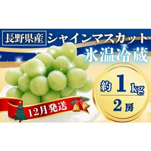 ふるさと納税 果物類 ぶどう 長野県 千曲市 氷温貯蔵シャインマスカット 約1kg(2房)|果物 フルーツ 白ぶどう 葡萄 ブドウ 種無し 種なし 皮ごと 千曲市 長野…