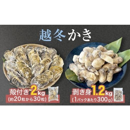 ふるさと納税 牡蠣 宮城県 石巻市 越冬かき剥き身 越冬殻付かき セット 加熱用 牡蠣 かき カキ 剥き身 むき身 殻付き 殻つき 貝 海鮮 魚介 魚介類 宮城県産 新…
