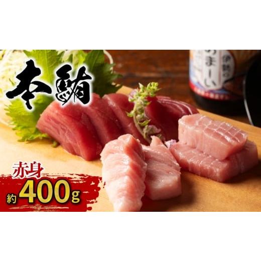 ふるさと納税 マグロ 三重県 南伊勢町 本マグロ 赤身 400g /本マグロ 本鮪 マグロ まぐろ クロマグロ 専門店 ブランド 切り落とし 切り落し 不揃い 規格外 鮪…