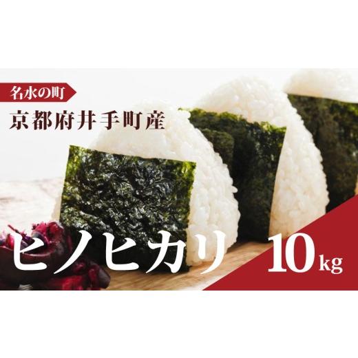 ふるさと納税 米 ヒノヒカリ 京都府 井手町 先行予約 ヒノヒカリ 10kg 令和8年産 精米 白米 お米 米 こめ ご飯 おにぎり 弁当 産地直送 国産 京都 京都府 井…